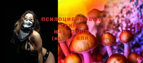 прущие крисы Беслан