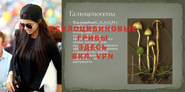 альфа пвп Билибино