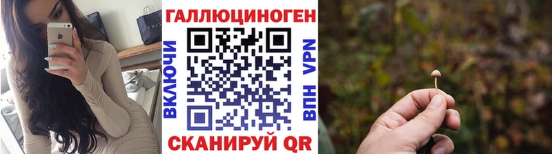 Галлюциногенные грибы GOLDEN TEACHER  Купить где  Гремячинск 